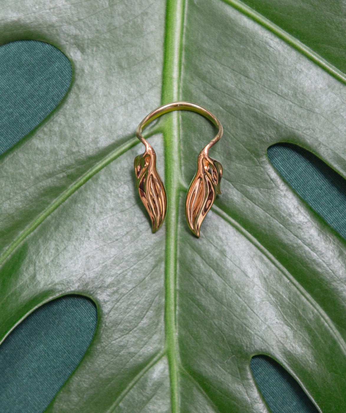 touro I taurus grow yellow gold ring