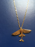 WINGS of the sea