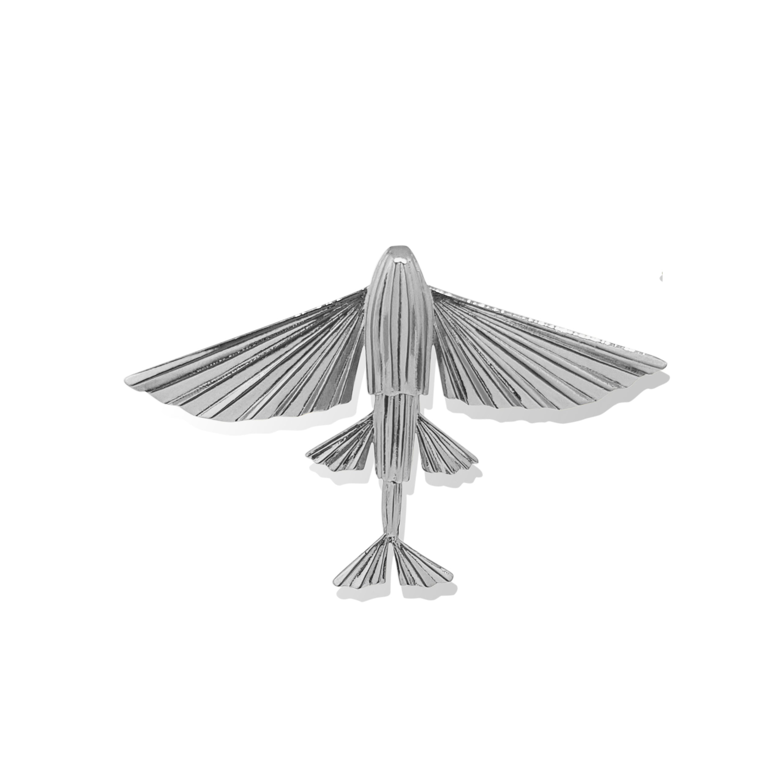 WINGS of the sea