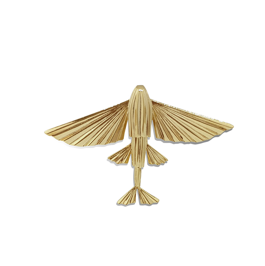 WINGS of the sea